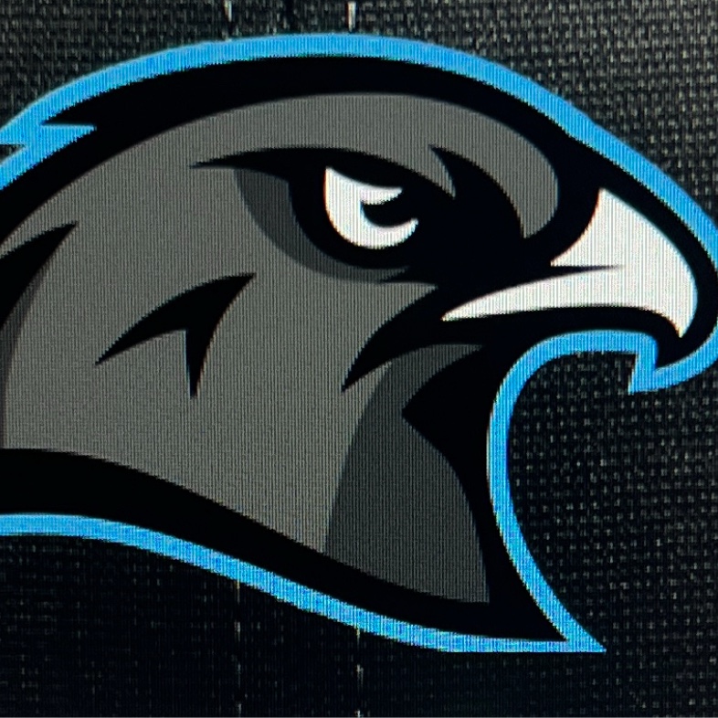 Blackhawks Baseball logo