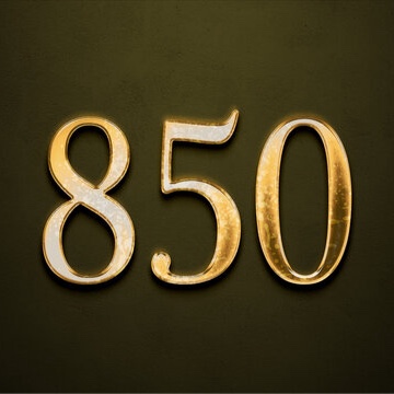 850 Hammerheads logo