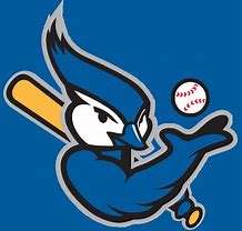 Acadiana Blue Jays logo