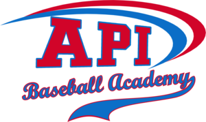 API Academy logo