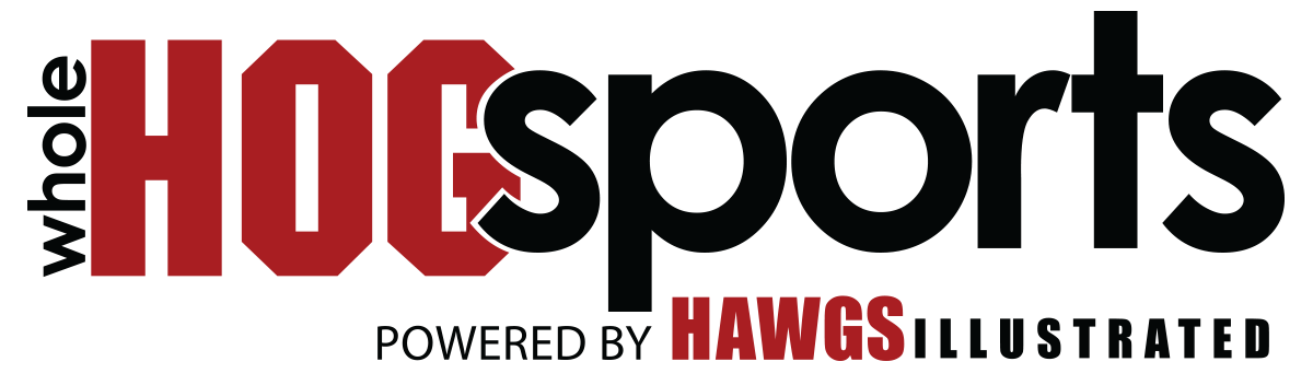 Arkansas Aviators logo