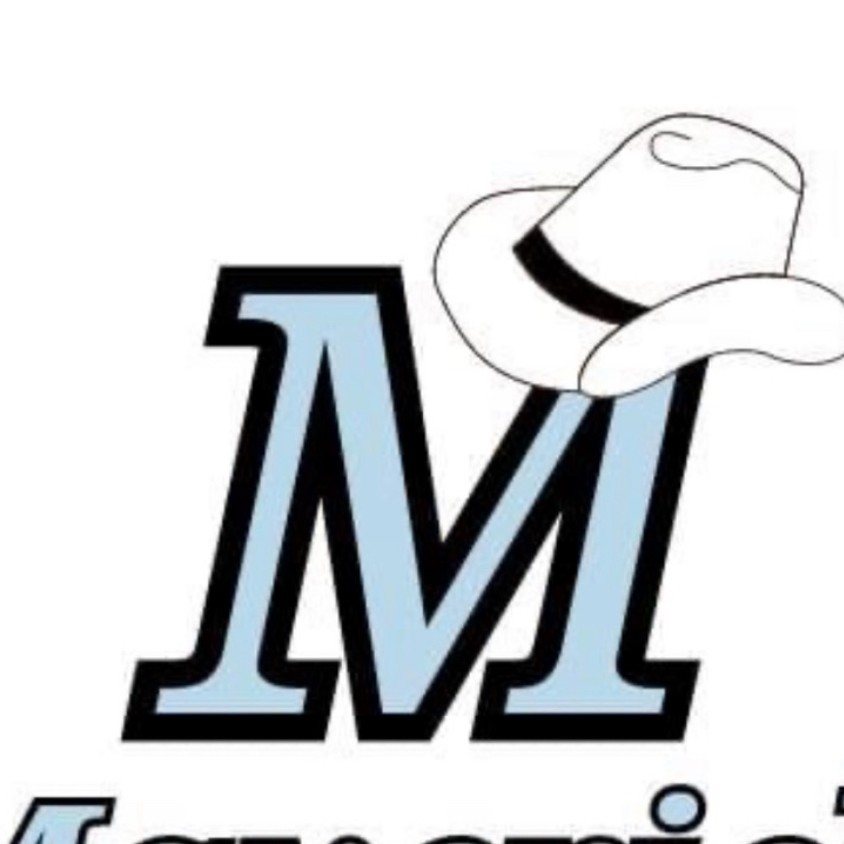 Arsenal Baseball logo