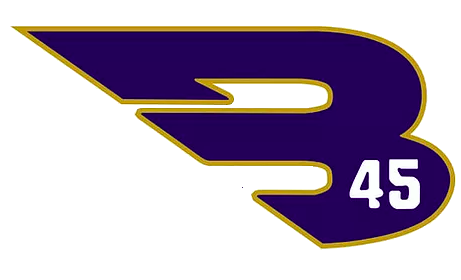 B45 Michigan logo