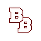 Badgers Baseball logo
