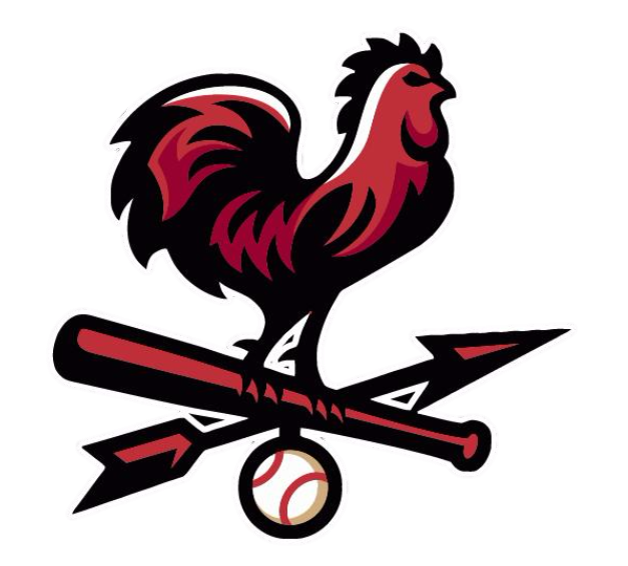 Barnstormers logo