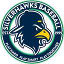 Bartlett Silver Hawks logo