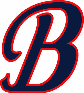 Baseknocks logo