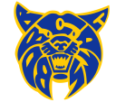 Benton Bobcats logo