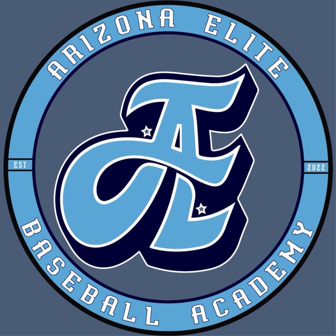 Birdgang Baseball logo