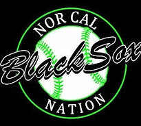 BlackSox Nation logo