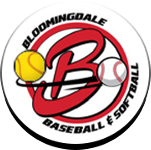 Bloomingdale Bandits logo