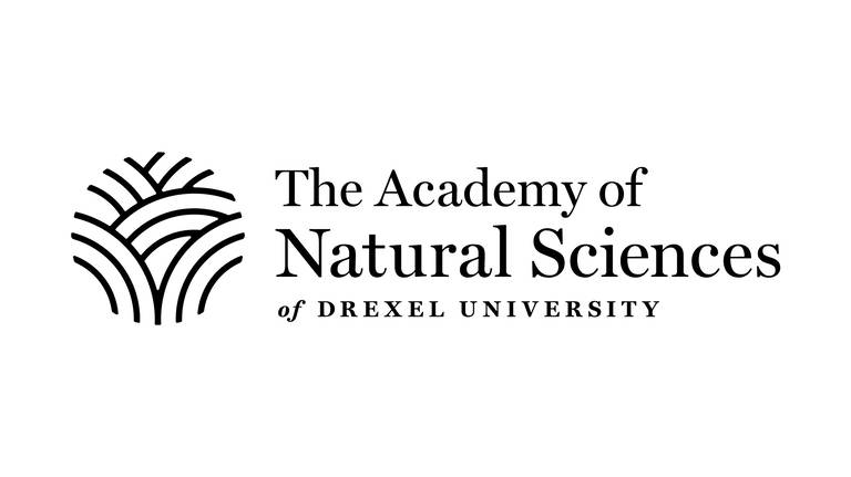 Blue Ridge Mountaineers logo