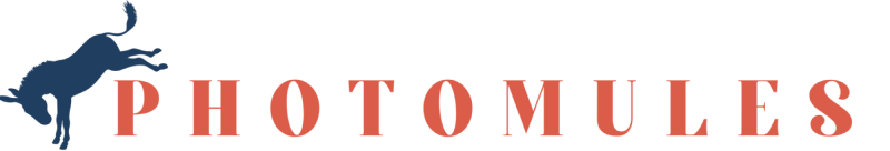 Bombers Baseball Club logo