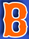 BOSS Baseball Academy logo