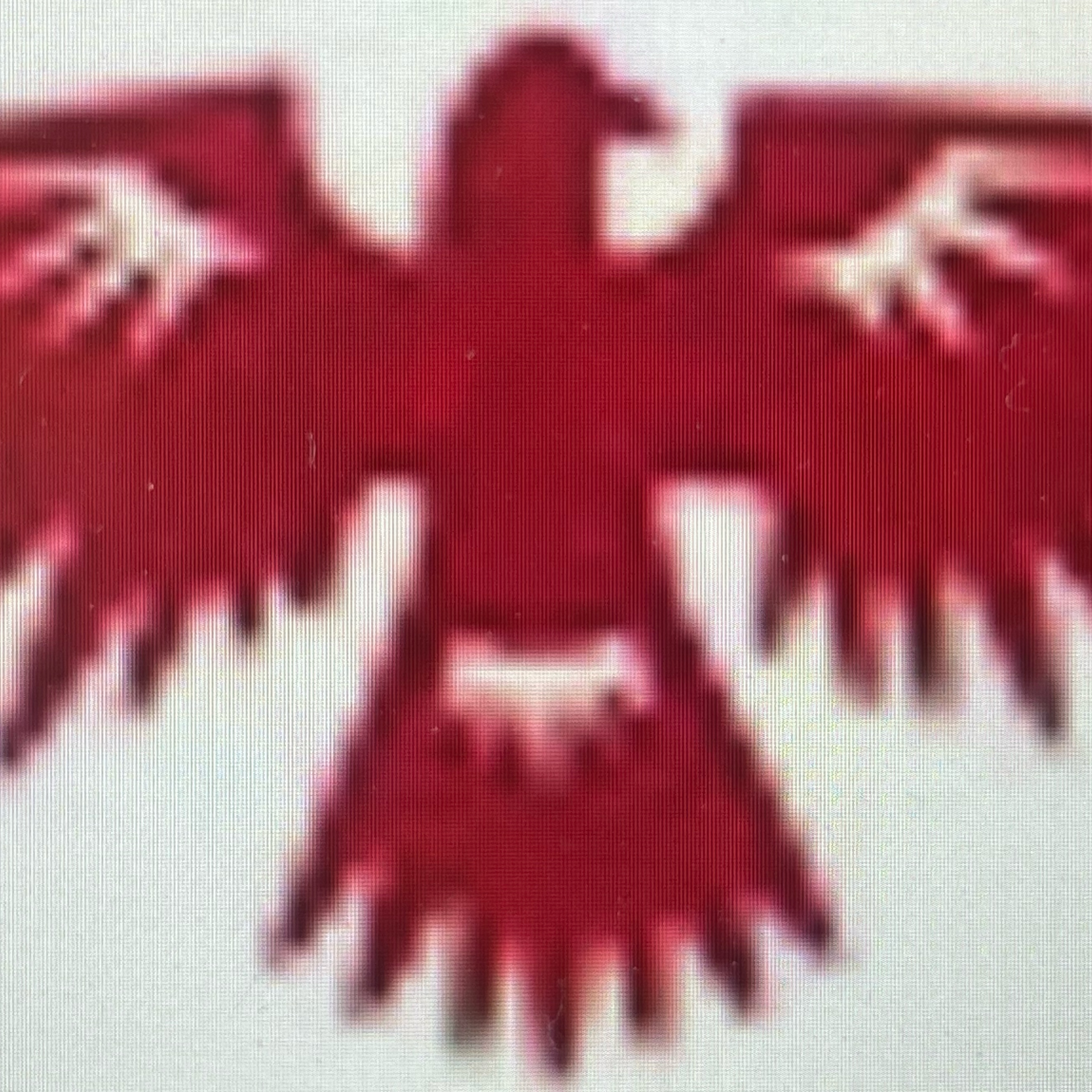 Boulder Thunderbirds logo