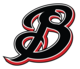 Bronco Select logo