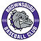 Brownsburg logo