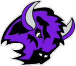 Buffalo Baseball Association logo