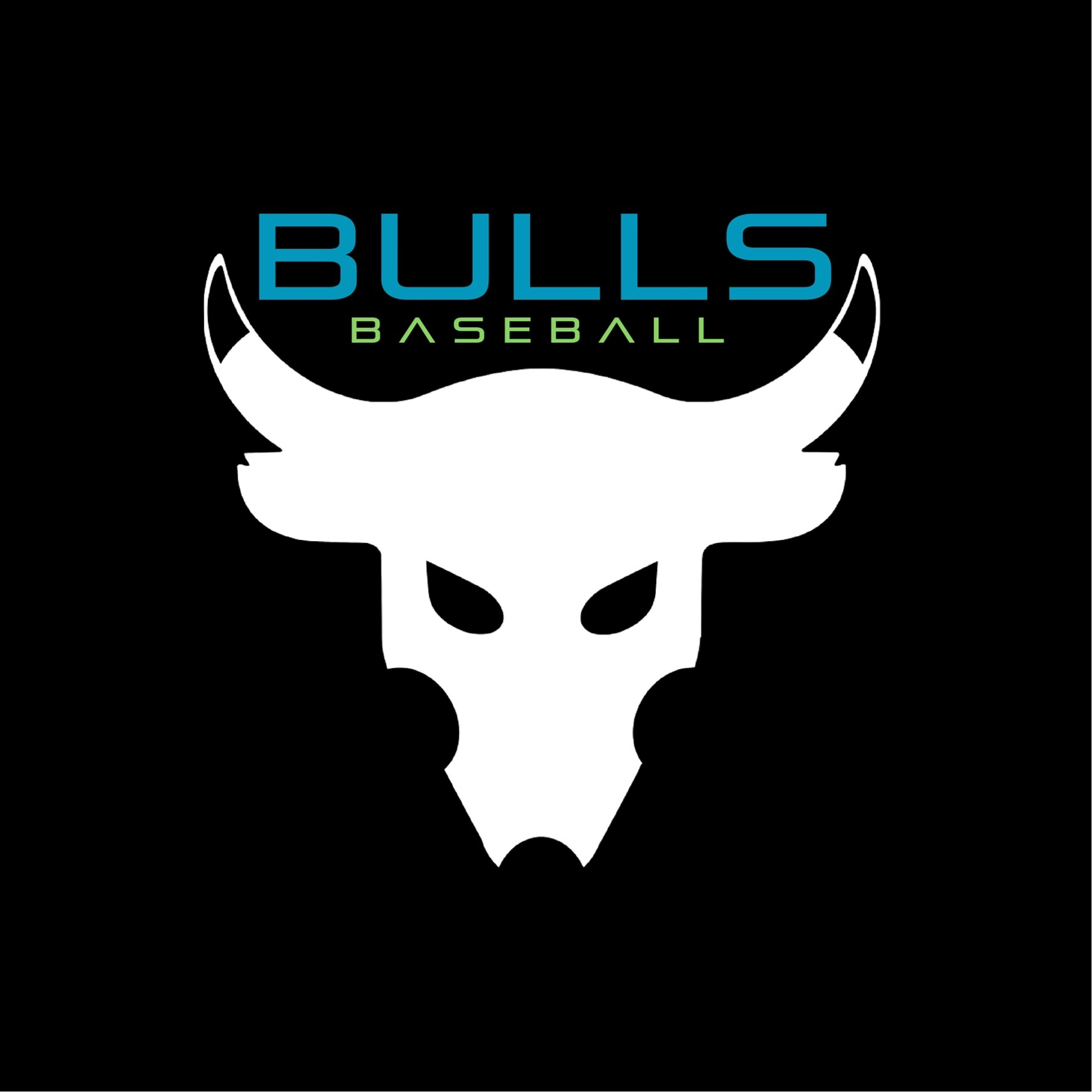 Bulls logo