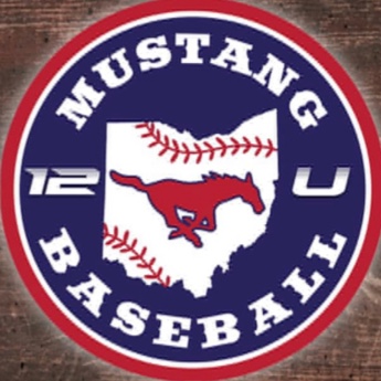 Canes Ohio Central logo