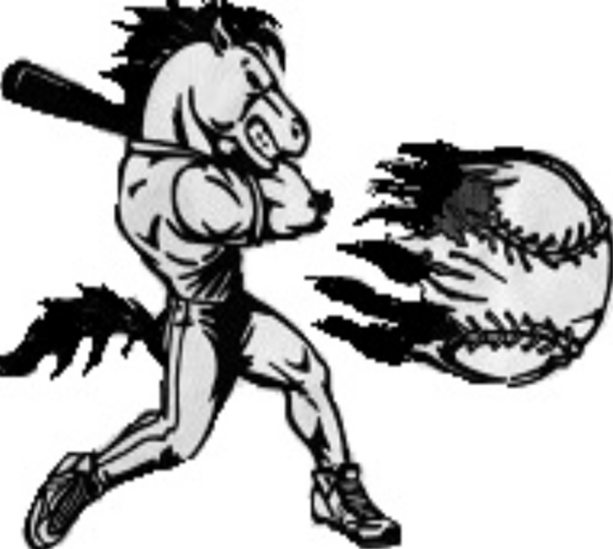 Carolina Dark Horses logo