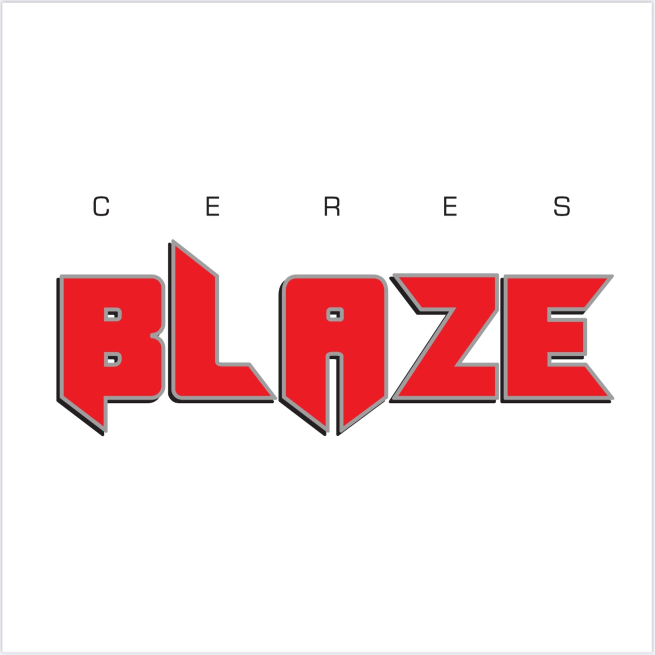 Central Valley Assassins logo