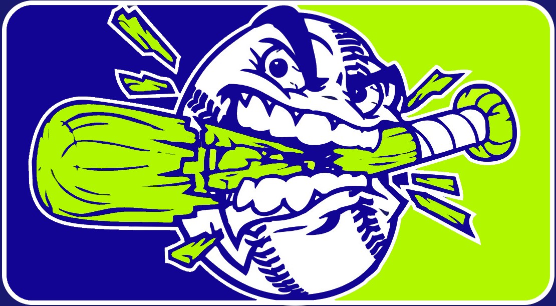 Charlotte Crushers logo