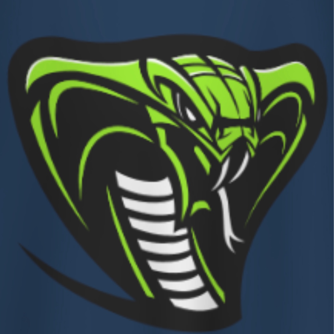 Cobras logo