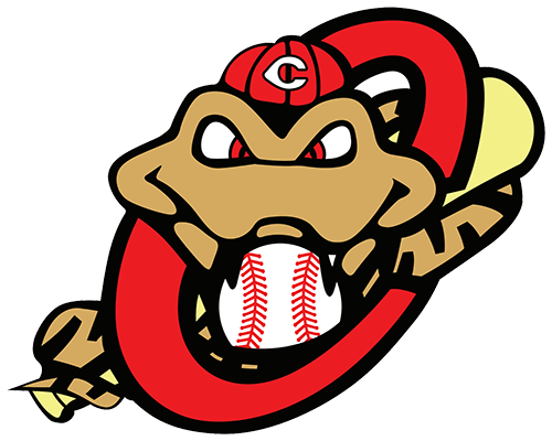 Copperheads logo