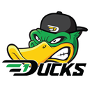 D1 Ducks logo