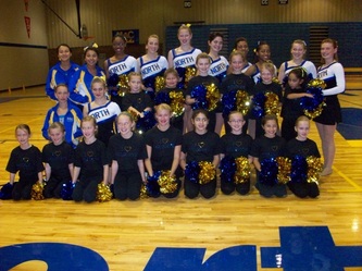 Davenport Wildcats logo