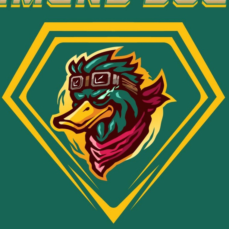 Diamond Ducks logo