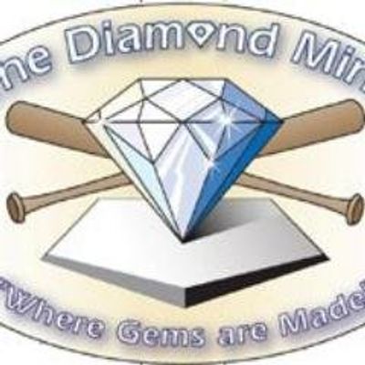 Diamond Mine logo