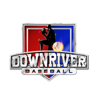 Downriver Hawks logo