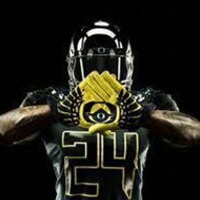 Ducks Baseball Navy logo