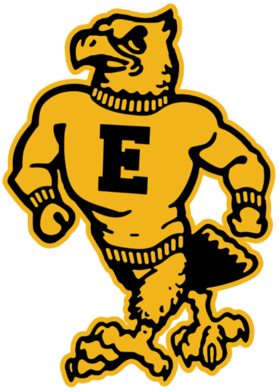 Emmetsburg E-Hawks logo
