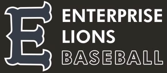 Enterprise Lions logo