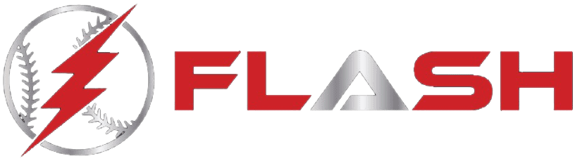 Flash logo