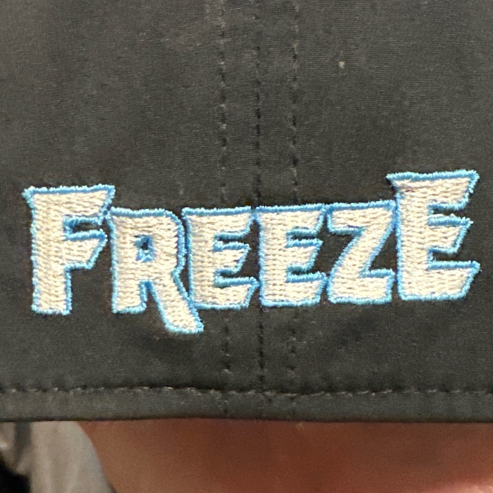 Freeze logo