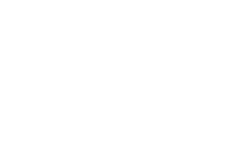 G1 Post 233 logo