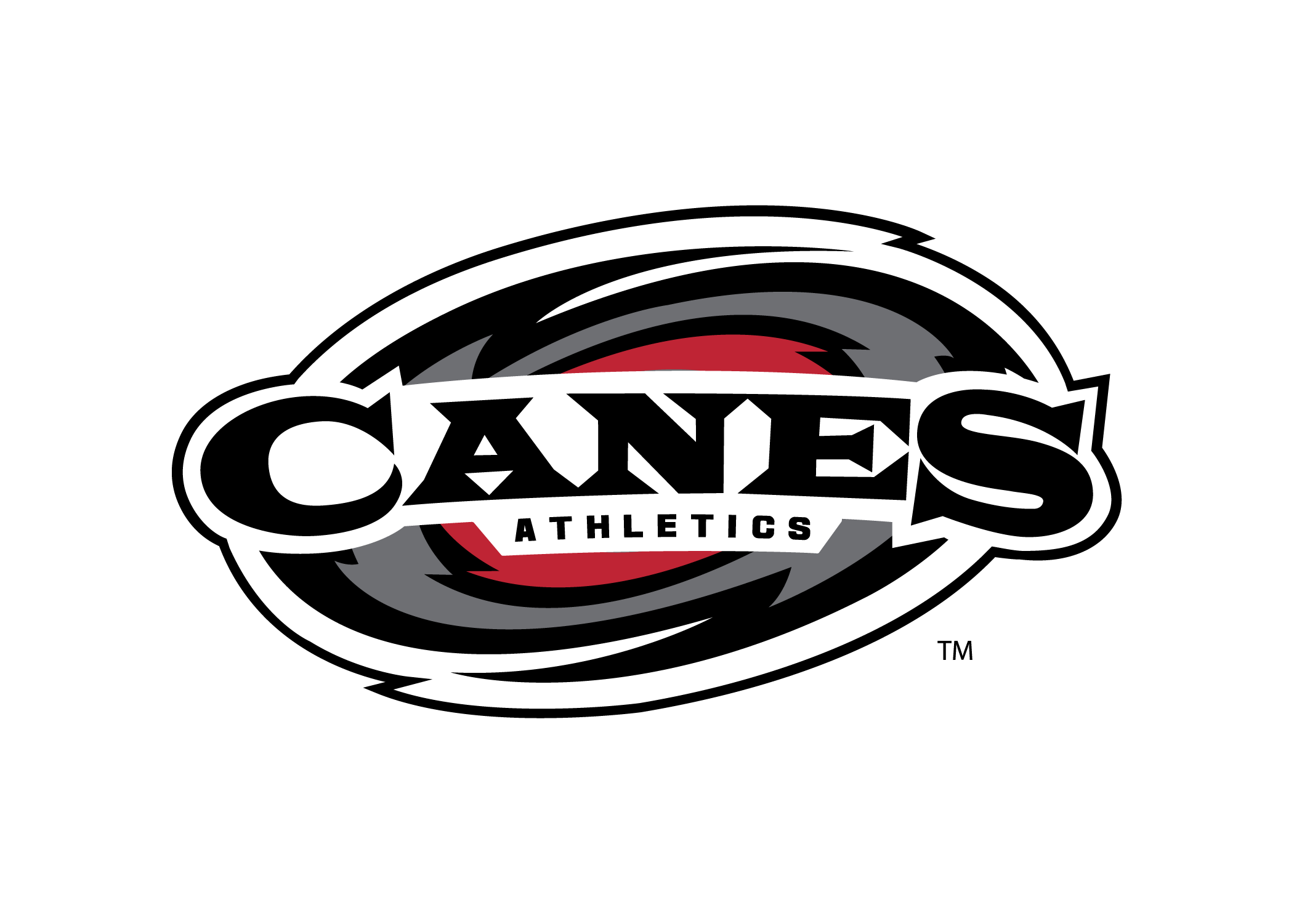 Greenville Storm logo