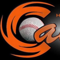 Hampton Roads Hurricanes logo