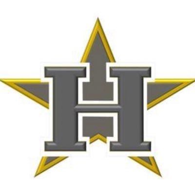 Hawks Gold Travel Baseball logo