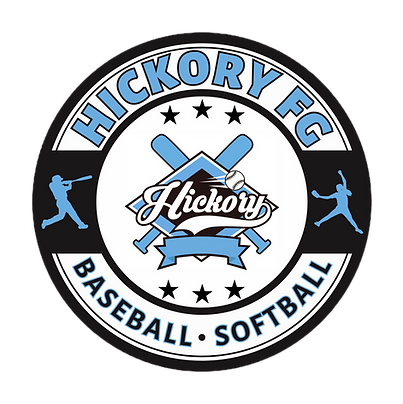Hickory Hornets logo