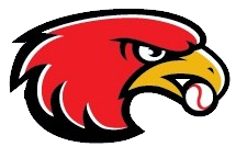 Houston Hawks logo
