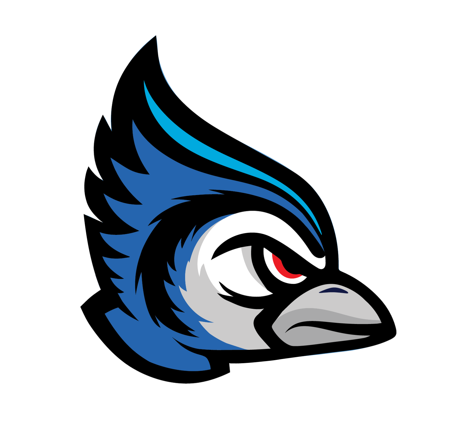 Illinois Blue Jays logo