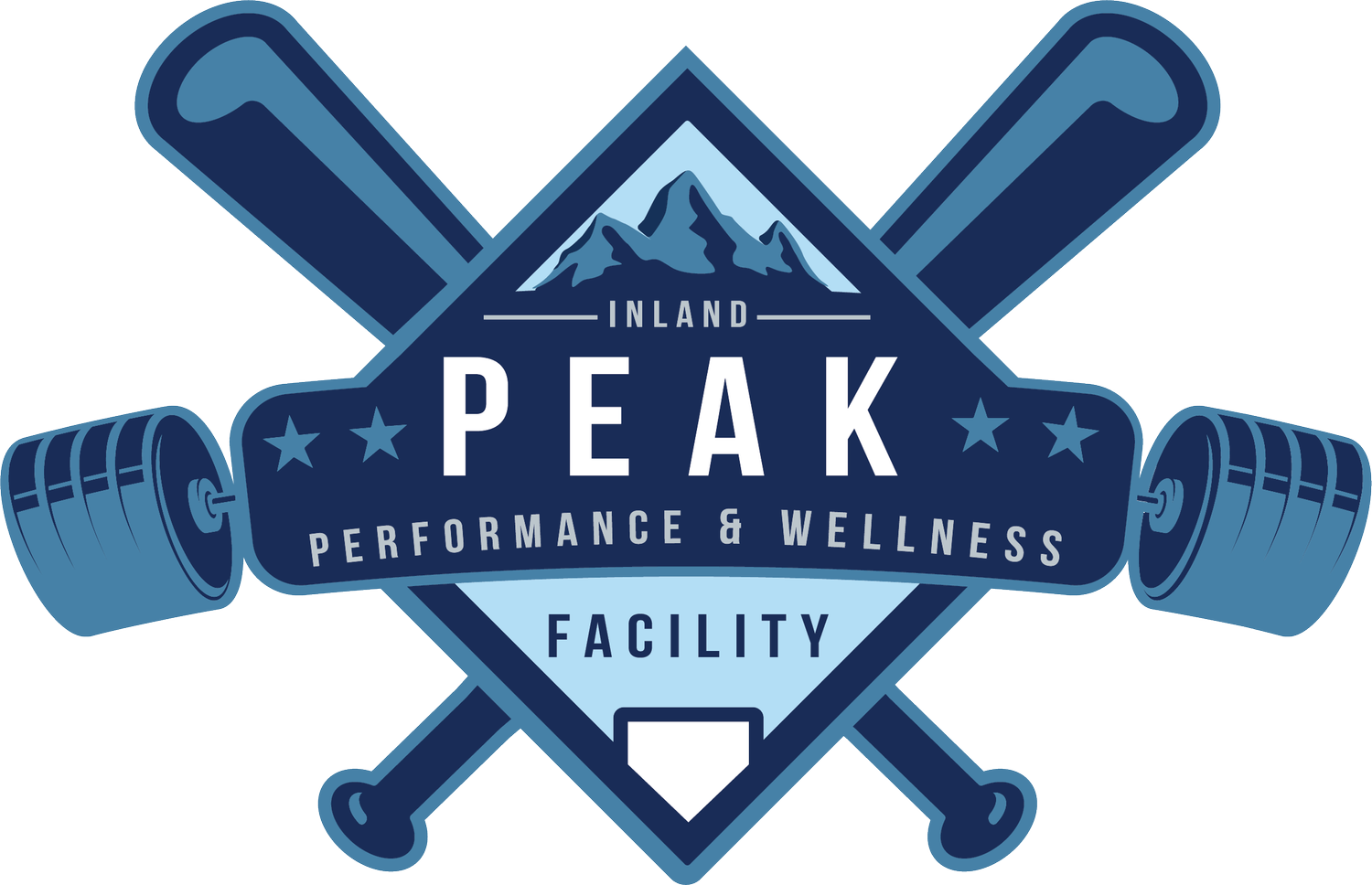 Impact Sports Academy logo