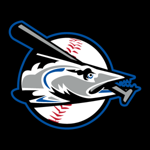 JBBA Barracudas logo