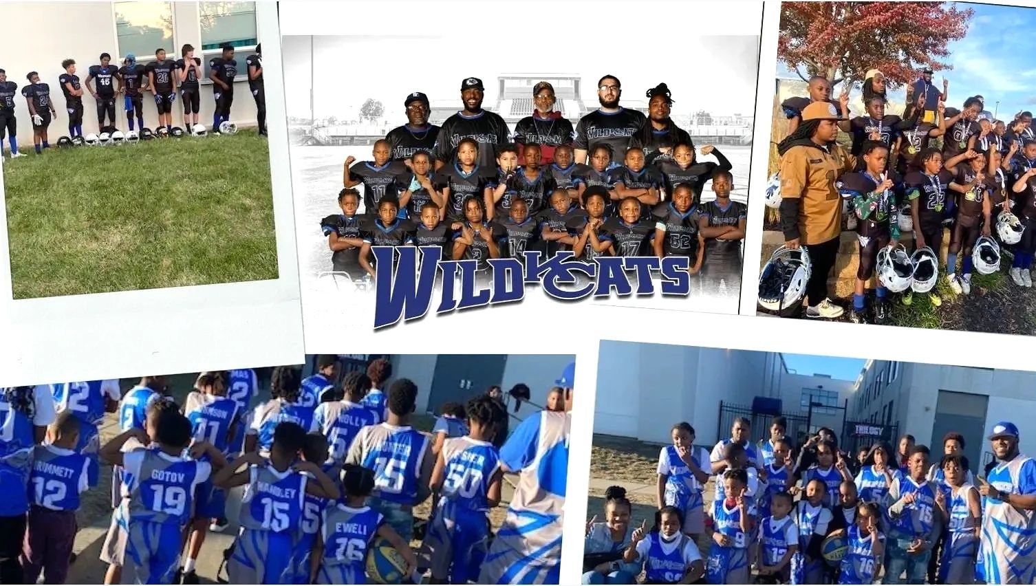 KC Wildcats logo