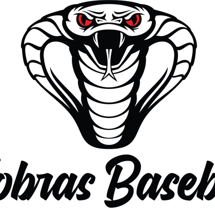 Kobras logo